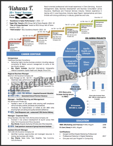 Create an Effective Infographic Executive Resume to showcase your ...