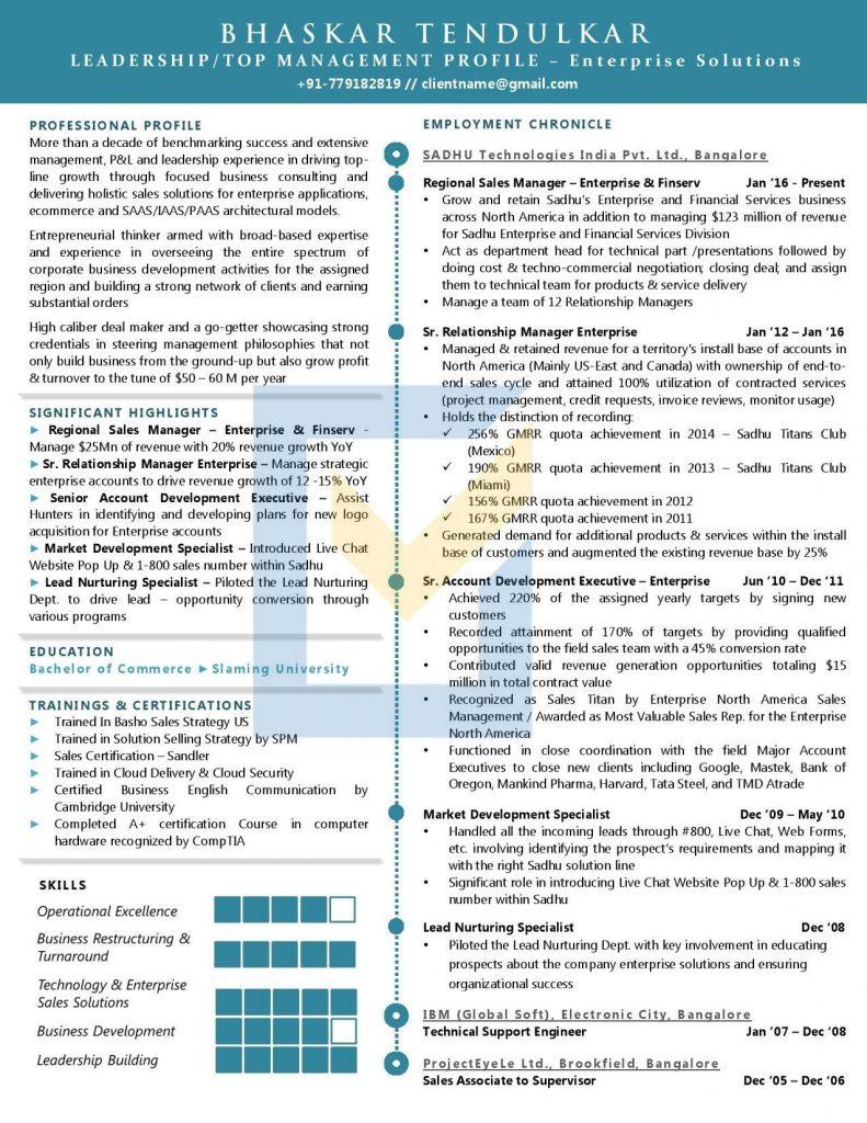 bdm resume sample india