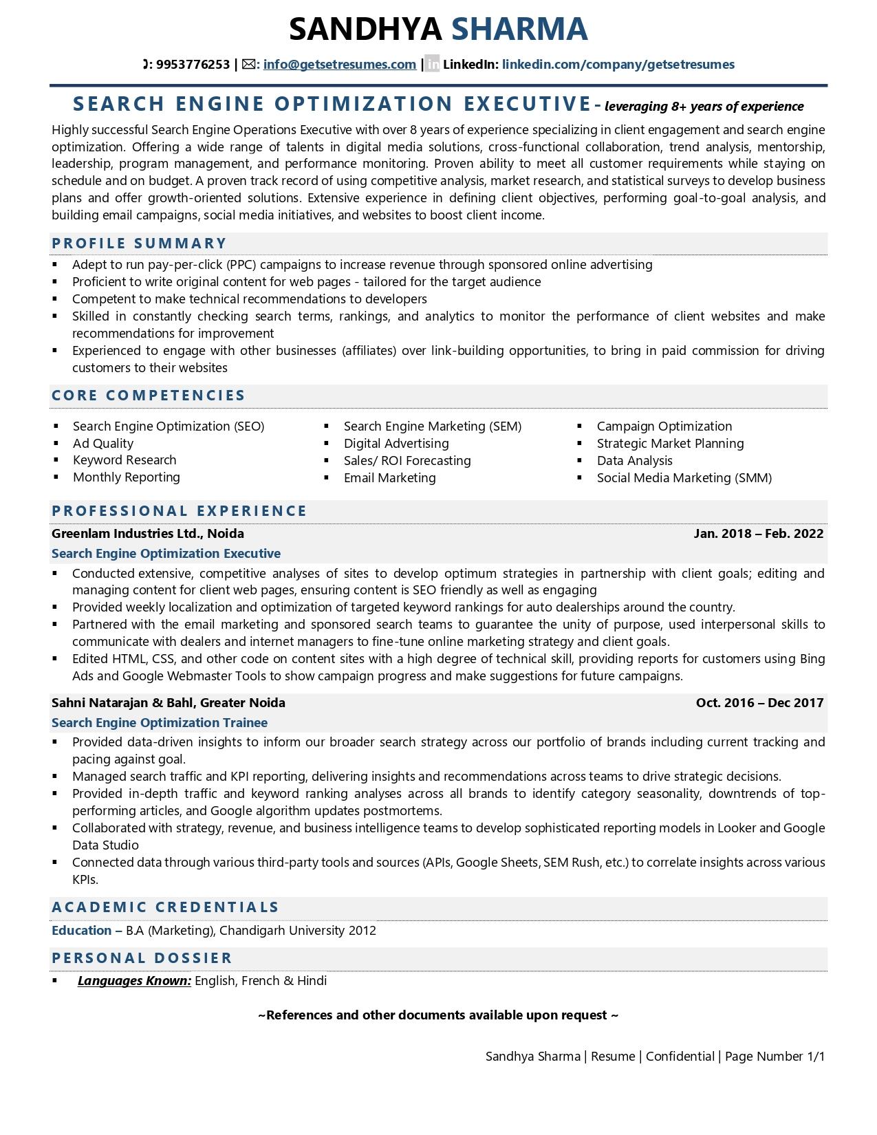 Search Engine Optimization Executive - Resume Example & Template
