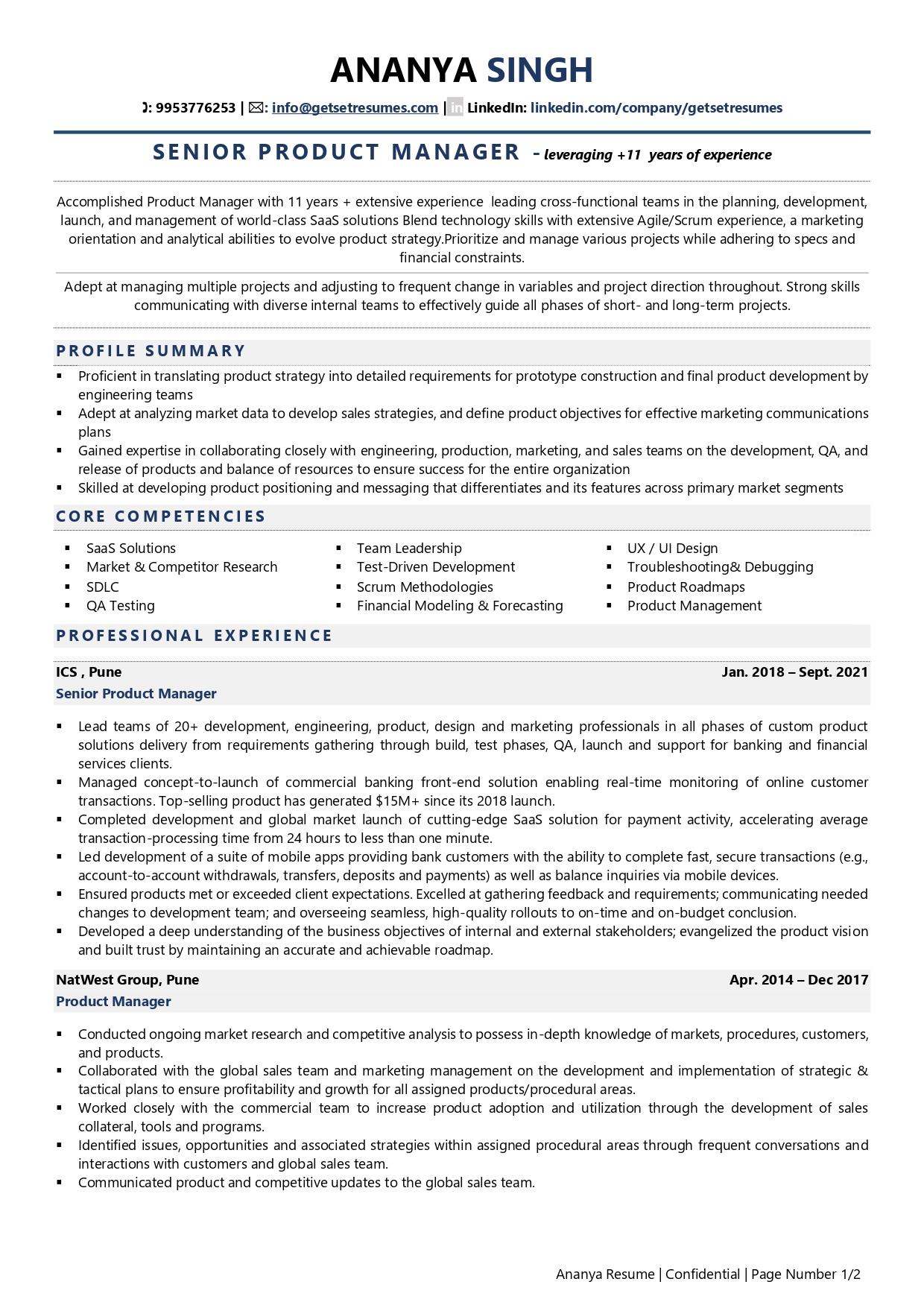 IT Project Manager - Resume Example & Template