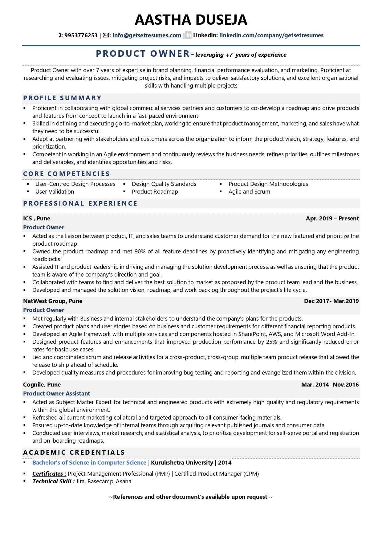 Product Owner - Resume Example & Template