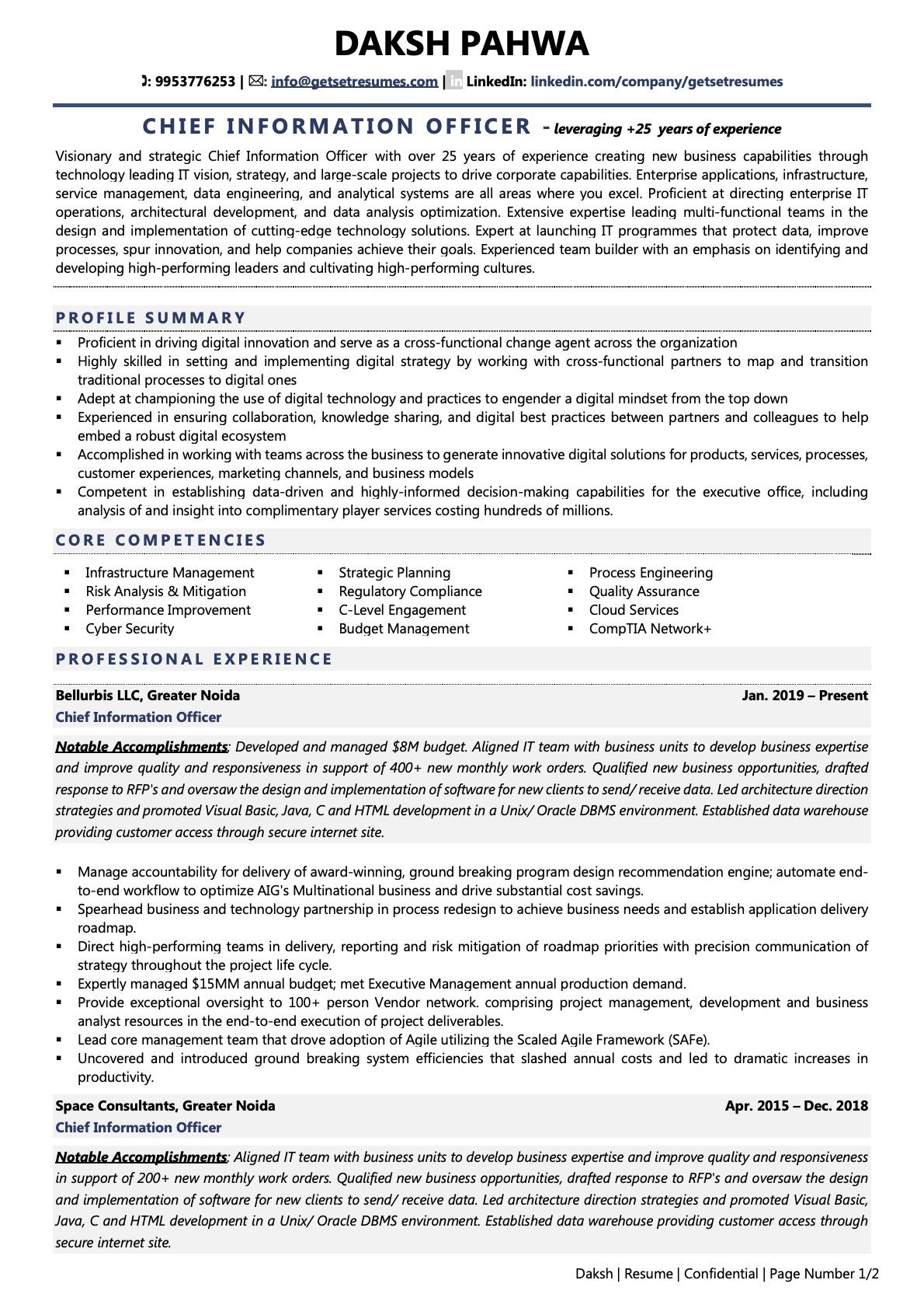 CIO - Resume Example & Template