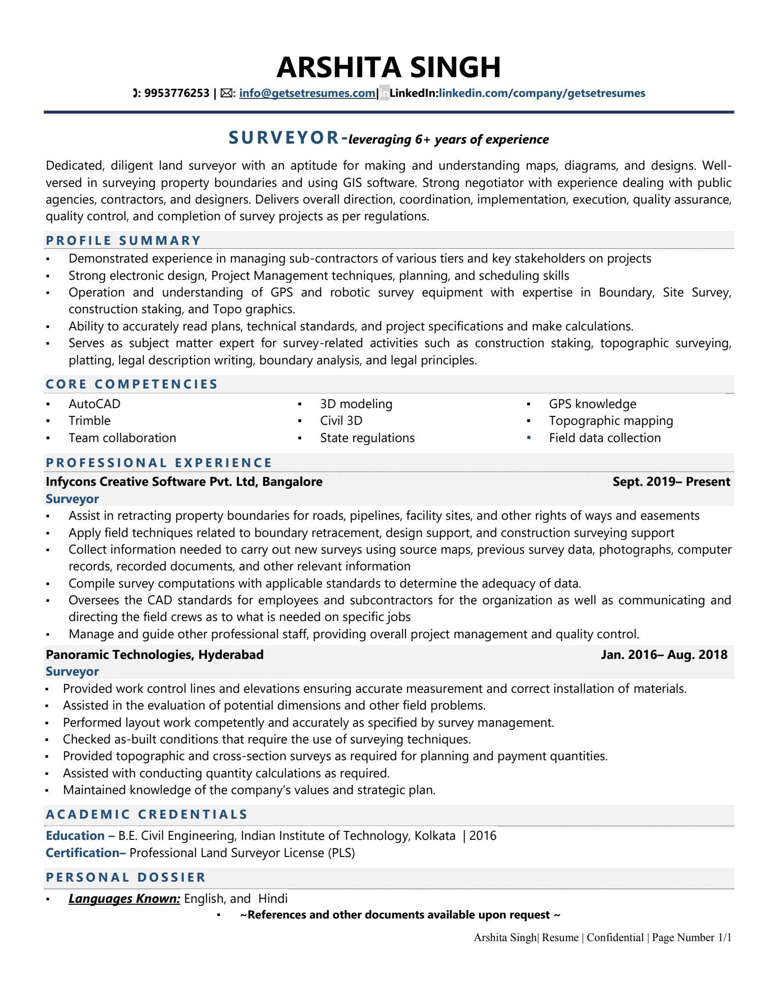Surveyor - Resume Example & Template