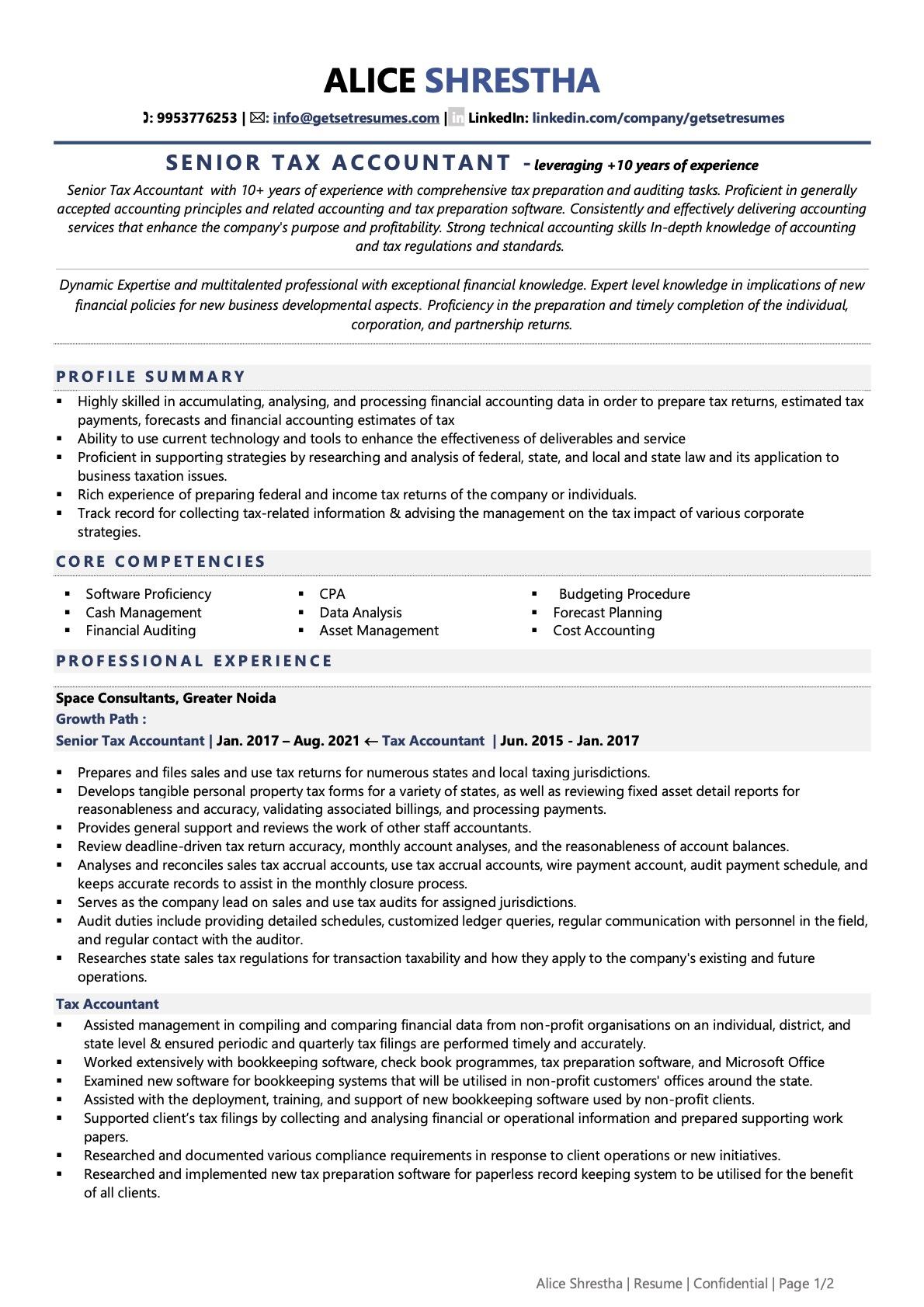 professional resume of accountant