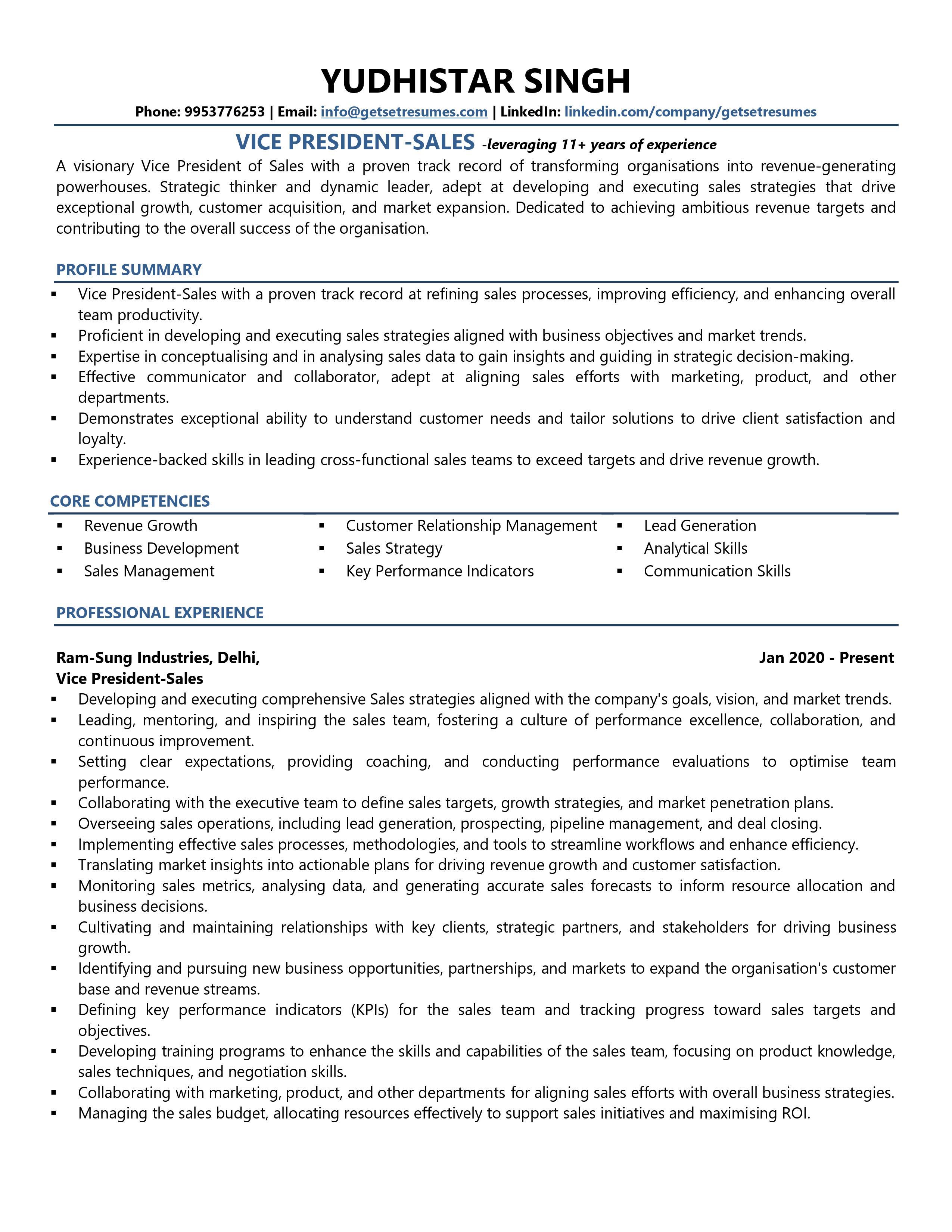 VP-Sales - Resume Example & Template