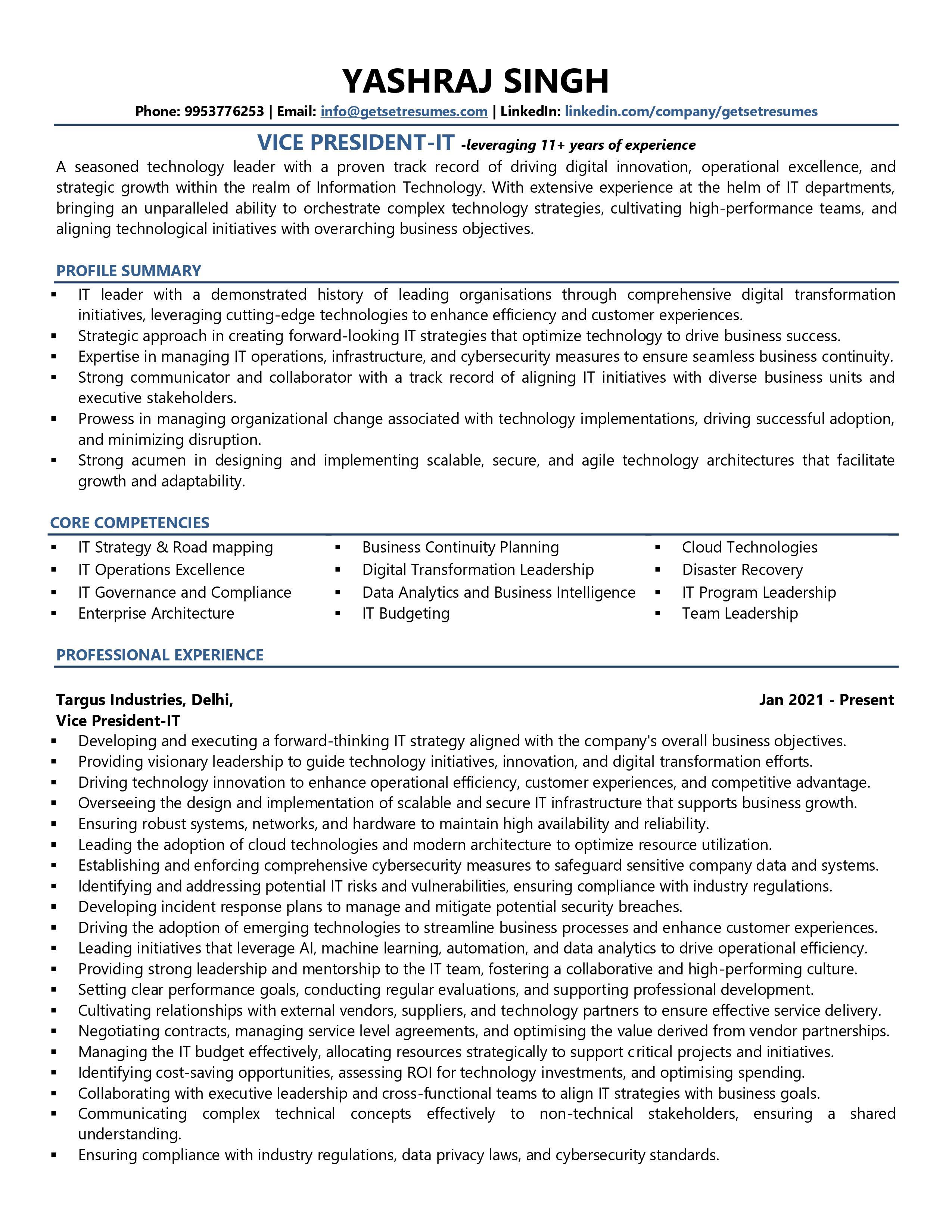 VP-IT - Resume Example & Template