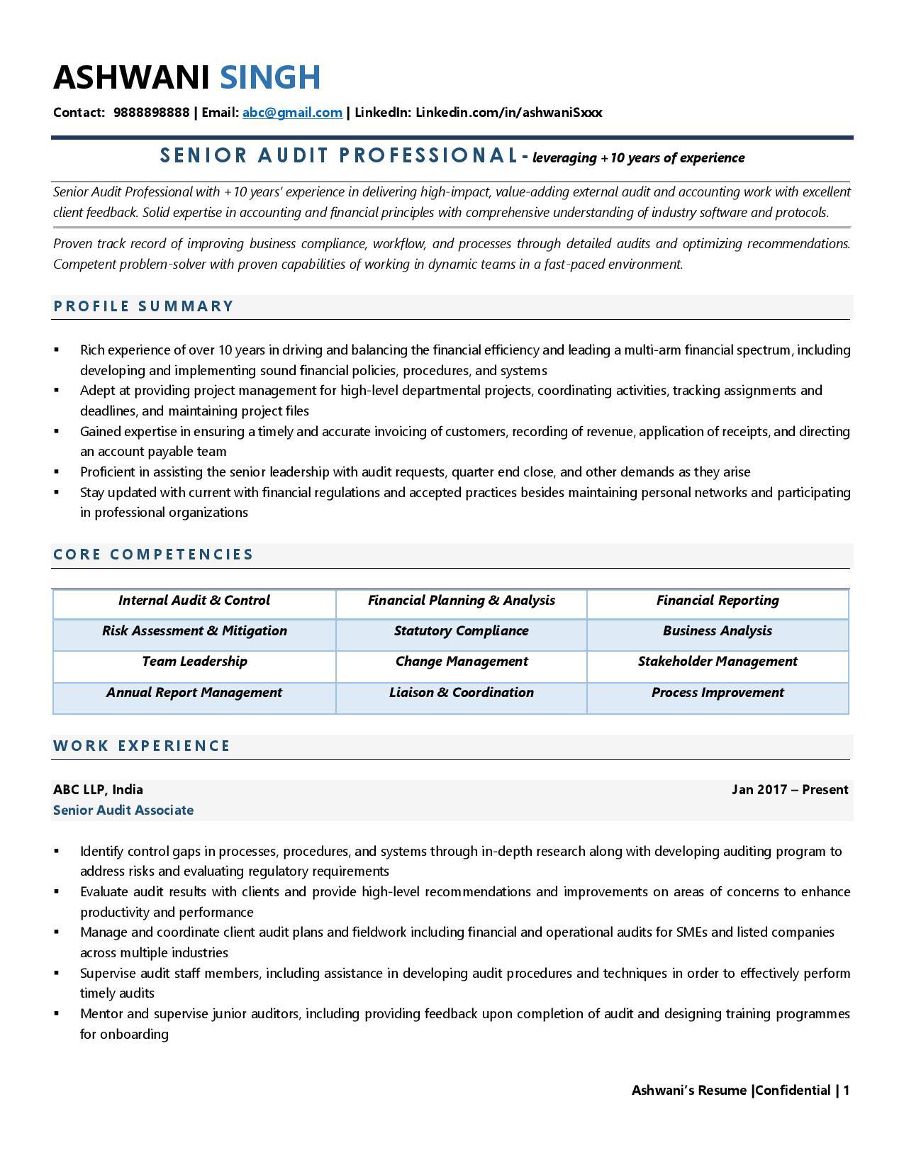 Auditor - Resume Example & Template