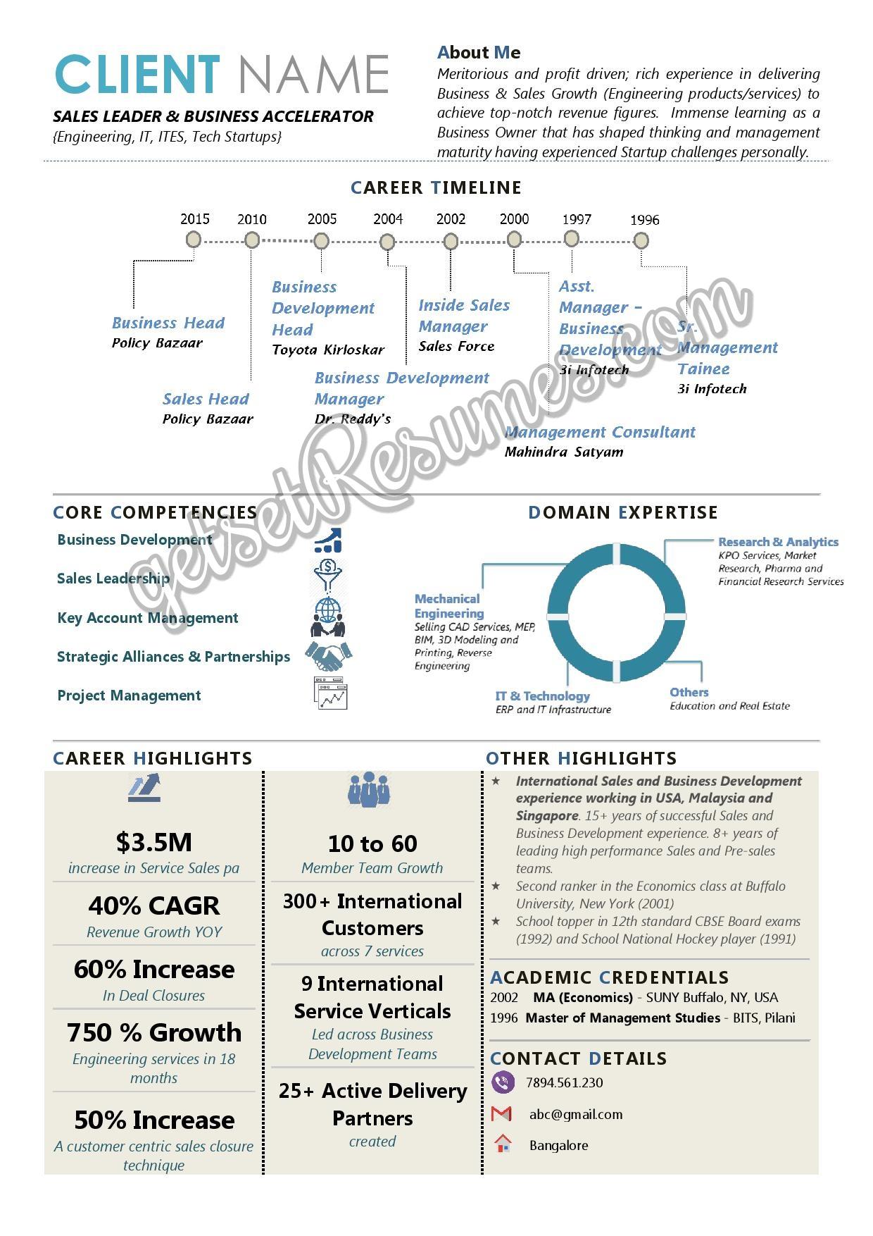 Infographic Resume for Sales Head