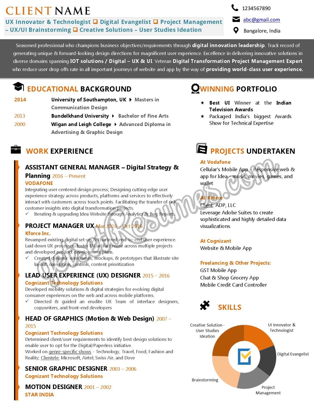 Infographic Resume for a UX Professional