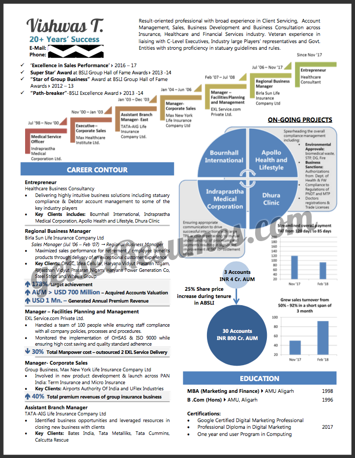 Infographic Visual Resume for a Senior Management professional / Entrepreneur