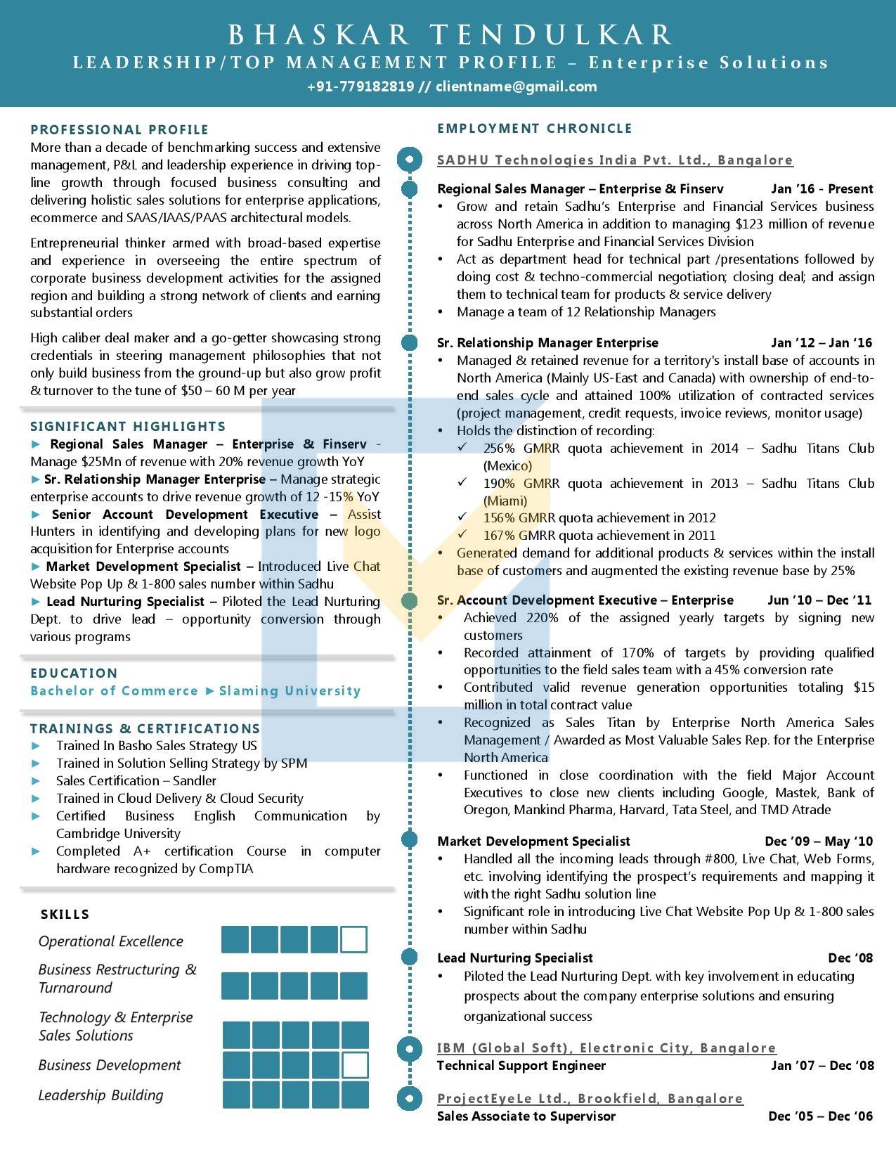 Resume of a Senior Enterprise Sales Manager