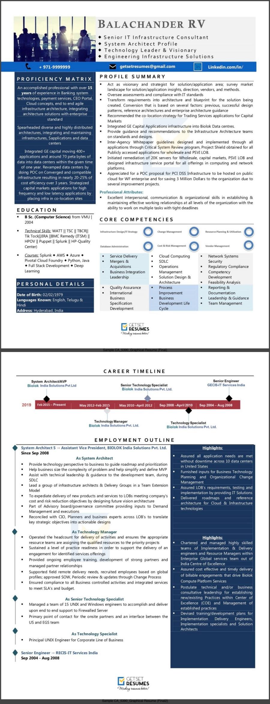 Resume of AVP - System Architect