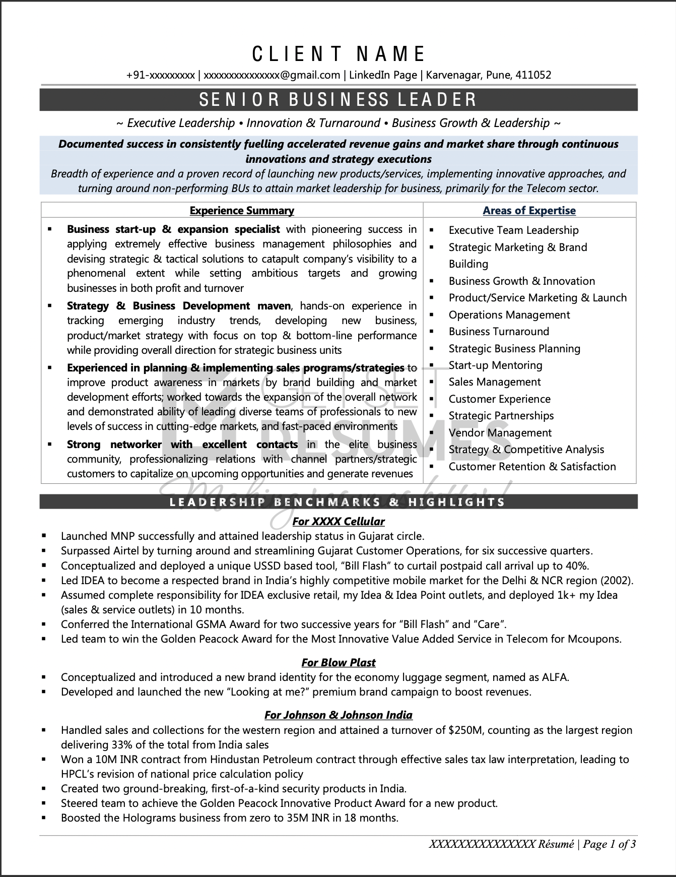 Sample Resume of Vice President - Customer Service & Operations in Telecom